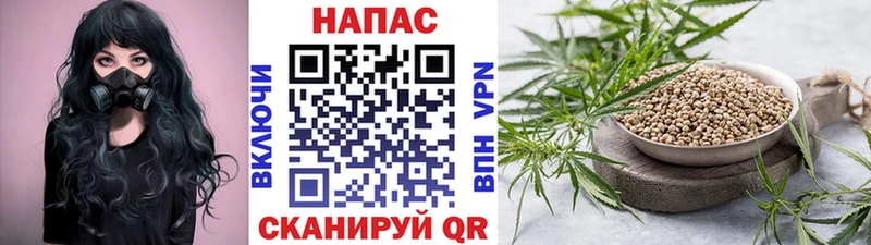 Наркошоп купить Alpha PVP МАРИХУАНА Меф Гашиш АМФЕТАМИН COCAIN Городовиковск