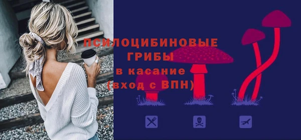 шишки Верхний Тагил