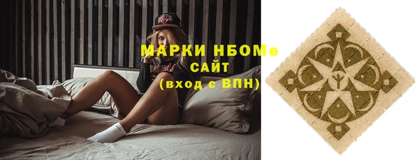шишки Верхний Тагил