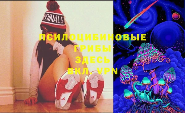 прущая мука Верея