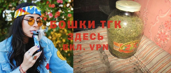 шишки Верхний Тагил