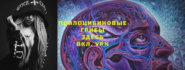 шишки Верхний Тагил