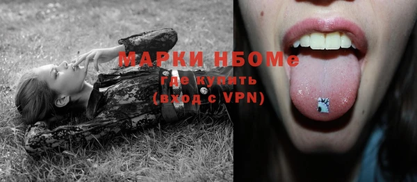 шишки Верхний Тагил