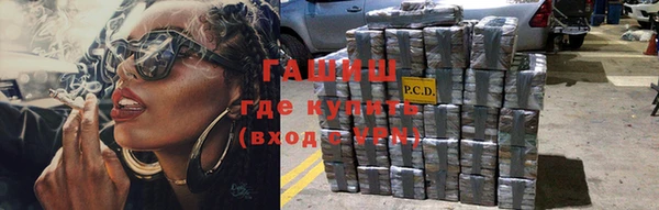 шишки Верхний Тагил