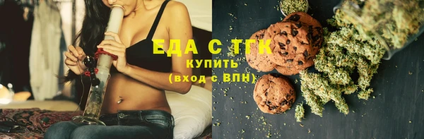 шишки Верхний Тагил