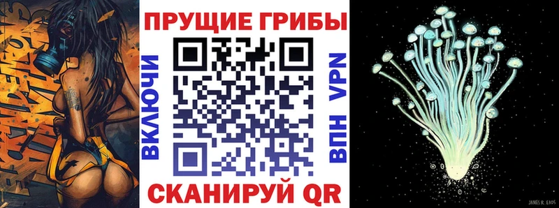 Псилоцибиновые грибы мухоморы  Купить где  Городовиковск 