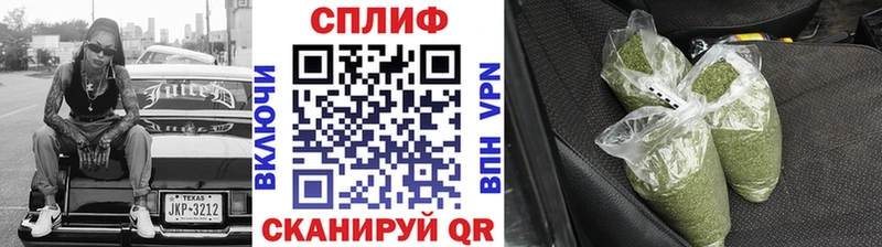 Купить закладки  Городовиковск  Бошки марихуана тримм 